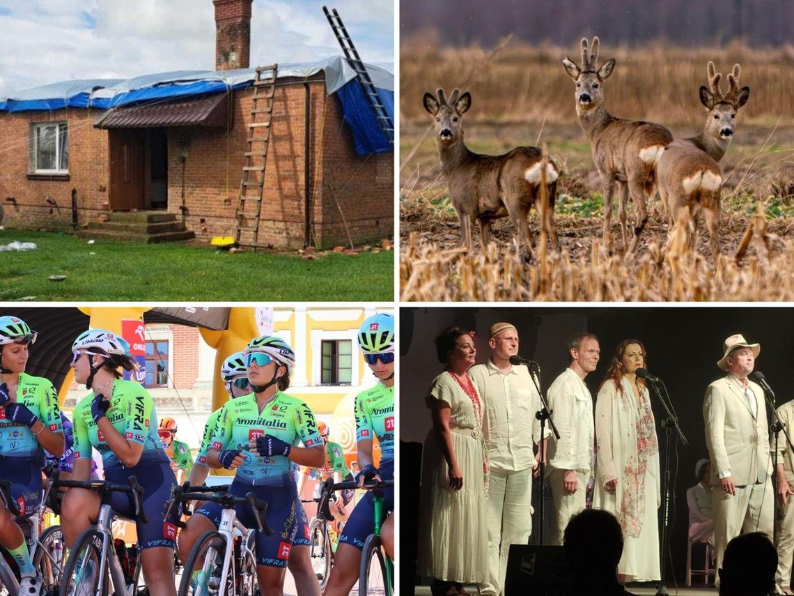 Przegląd najważniejszych wiadomości opublikowanych w Kronice Tygodnia 12 sierpnia 2025 r.