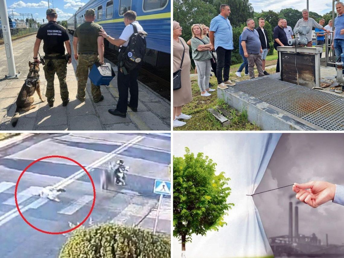 Przegląd najważniejszych wiadomości opublikowanych w Kronice Tygodnia 13 sierpnia 2025 r.