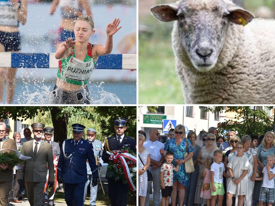 Przegląd najważniejszych wiadomości opublikowanych w Kronice Tygodnia 15 sierpnia 2025 r.