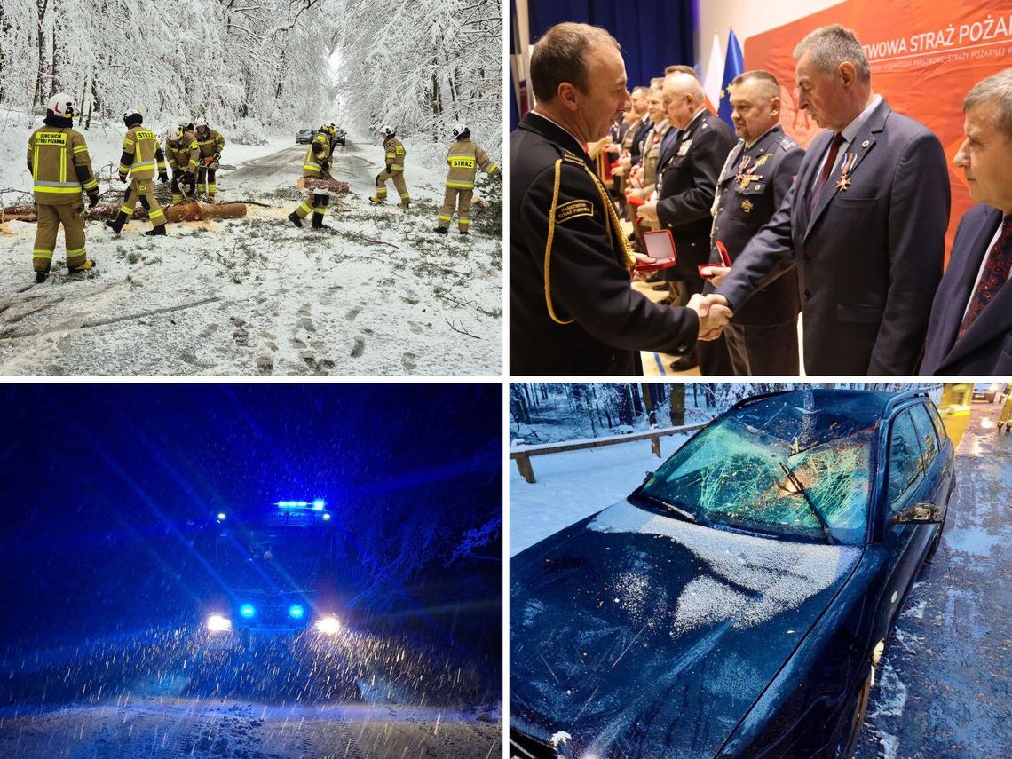 Przegląd wiadomości, 22-23 listopada 2025. Zamość, Tomaszów Lubelski, Hrubieszów, Biłgoraj Przegląd najciekawszych wiadomości, które opublikowaliśmy 22-23 listopada na stronie internetowej Kroniki Tygodnia.