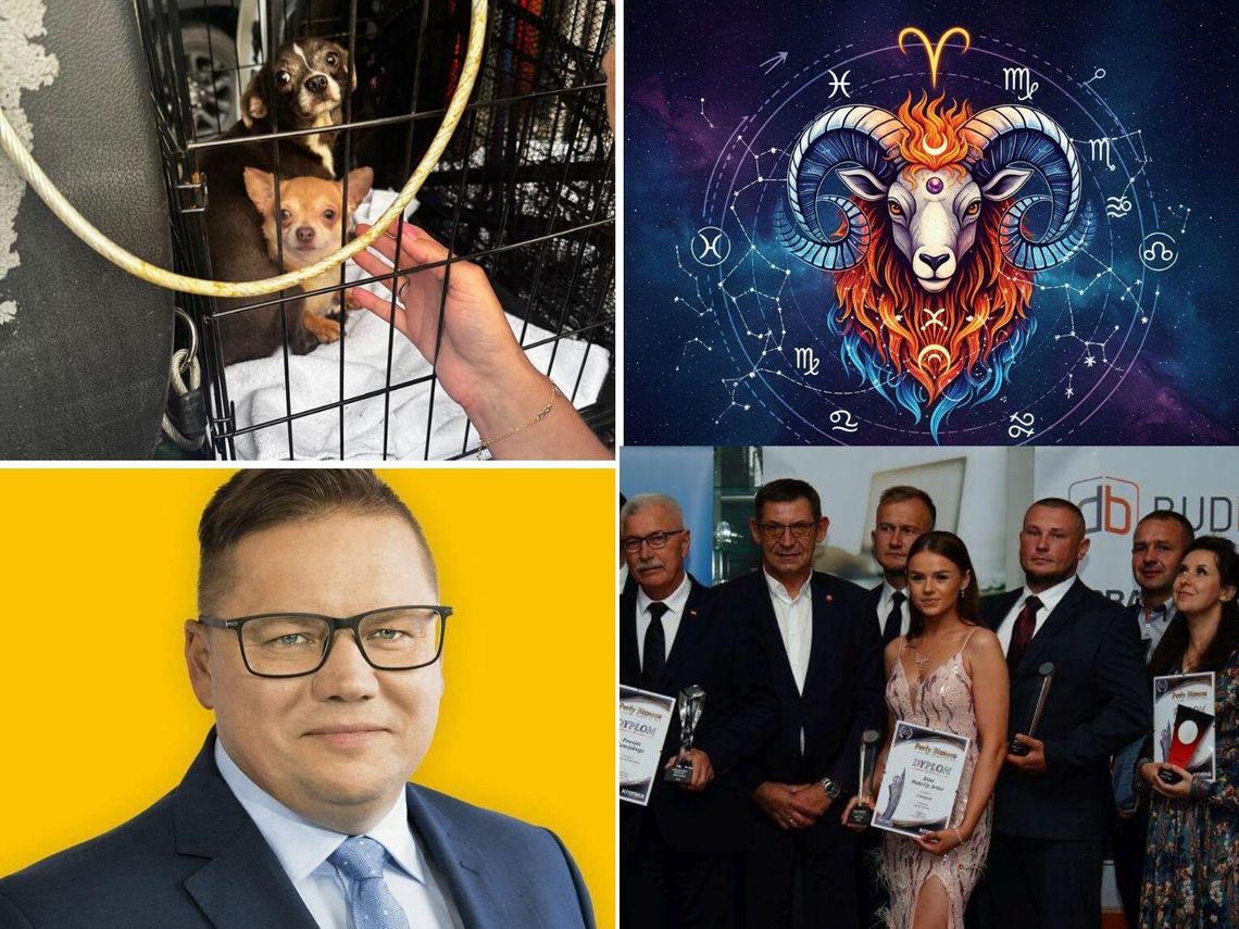 Przegląd najważniejszych wiadomości opublikowanych w Kronice Tygodnia 27 lipca 2025 r.