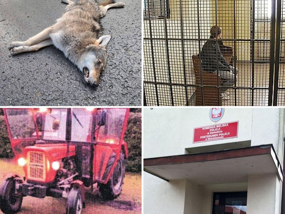 Przegląd najciekawszych wiadomości, które opublikowaliśmy 30 października na stronie internetowej Kroniki Tygodnia.