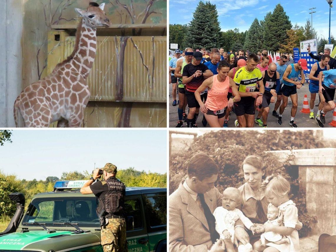 Przegląd najważniejszych wiadomości opublikowanych w Kronice Tygodnia 8 sierpnia 2025 r.