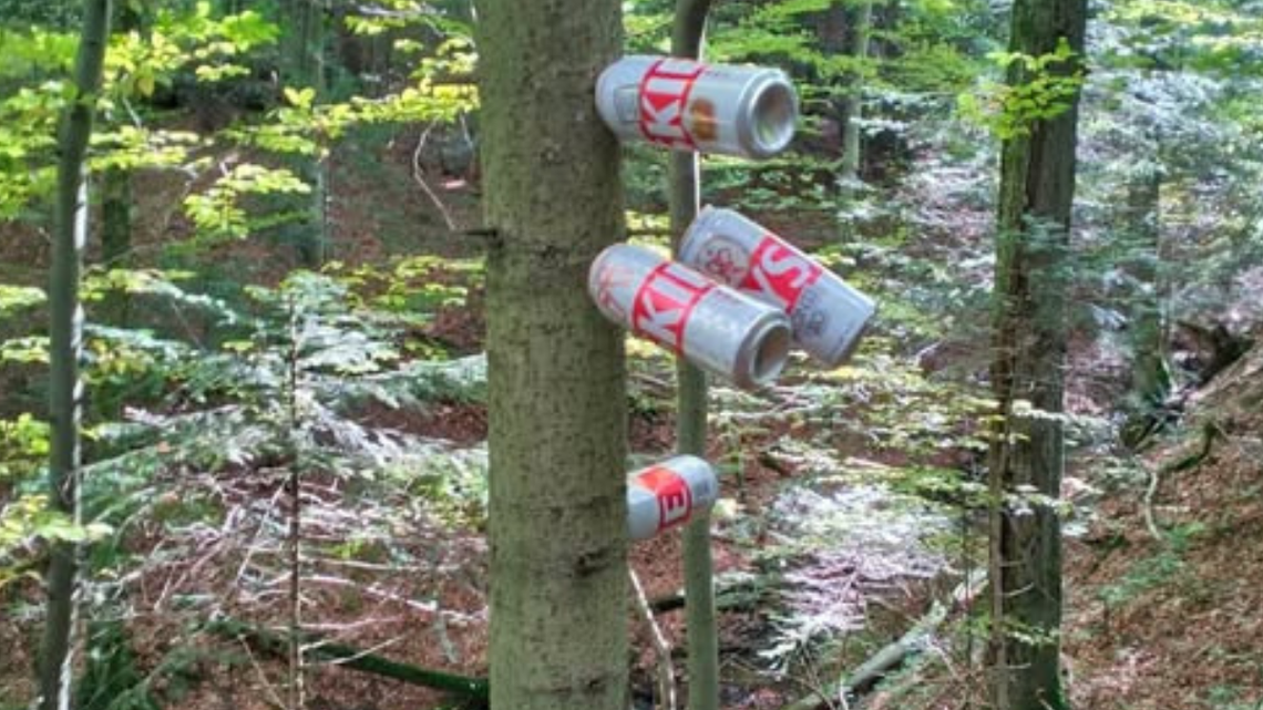 Pełno opróżnionych puszek po piwie. Tyle pozostawiły po sobie osoby, które wybrały się do lasu. Taka pamiątka po „grzybiarzach” w środku lasu.