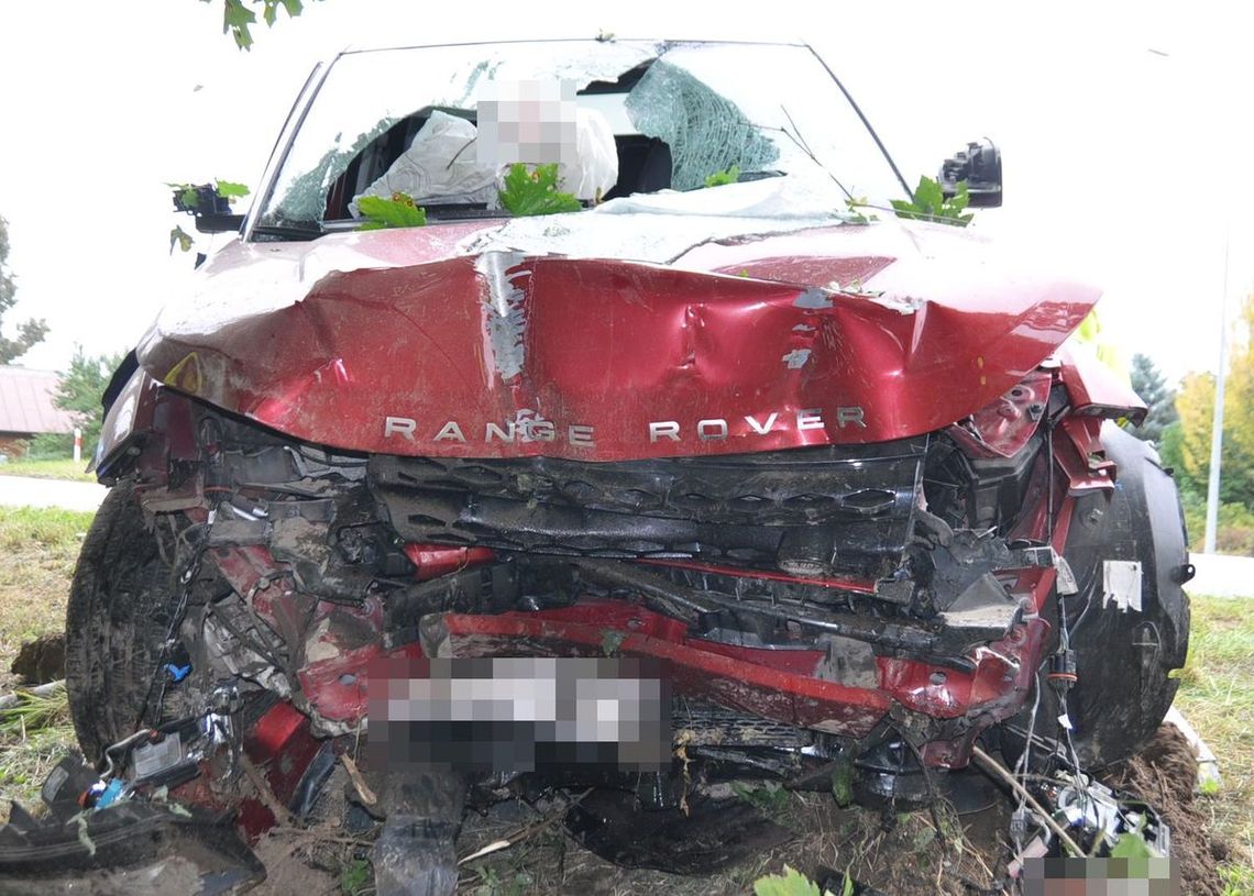 Radzięcin: Nietrzeźwa kierująca uderzyła w drzewo