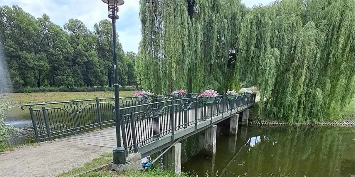 Firma Mosty Zamość Tomasz Czyż z Sitańca opracuje dokumentację projektową i kosztorysową remontu mostka w Parku Miejskim.