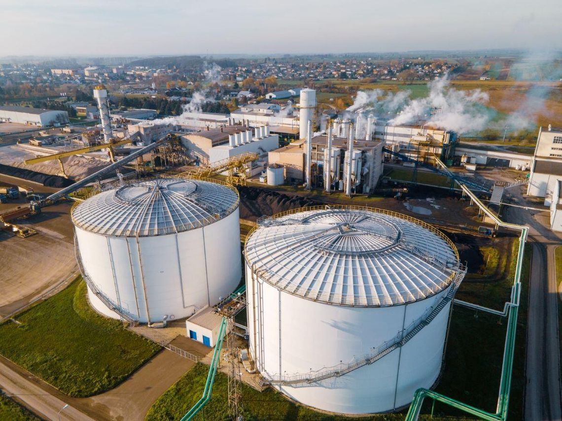 Wiesław Sokołowski wyjaśnia, że każdy z plantatorów buraka cukrowego poniósł koszty związane z wykonaniem przesiewów z powodu nasilonej obecności i szkód poczynionych przez szarka komośnika.
