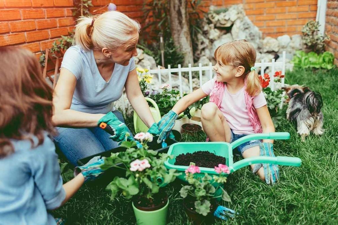 Rośliny trujące. Czego nie sadzić w ogródku i na balkonie? Rośliny trujące. Czego nie sadzić w ogródku i na balkonie?