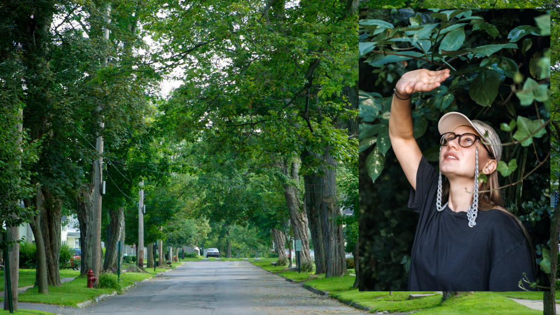 W puli jest 10 milionów złotych. Maja pomóc samorządom przygotować się np. na suszę czy gwałtowne opady. Rozpoczął się właśnie nabór wniosków.