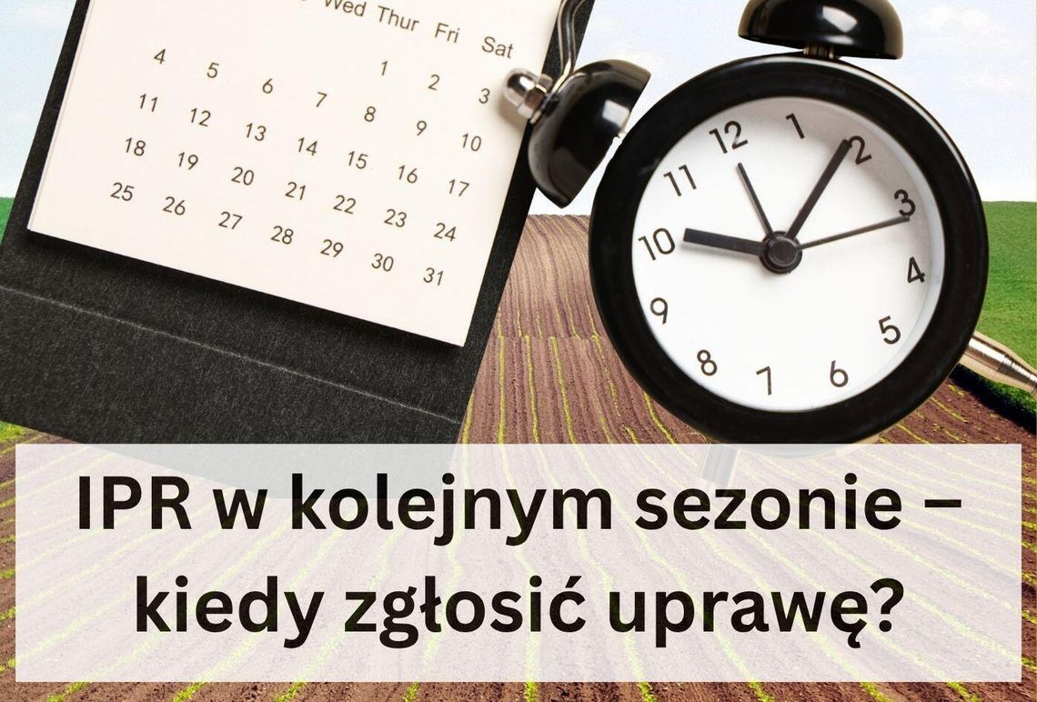 Siejesz oziminy takie jak pszenica, jęczmień, pszenżyto? Czy jesteś producentem rzepaku? Siejesz oziminy takie jak pszenica, jęczmień, pszenżyto? Czy jesteś producentem rzepaku?