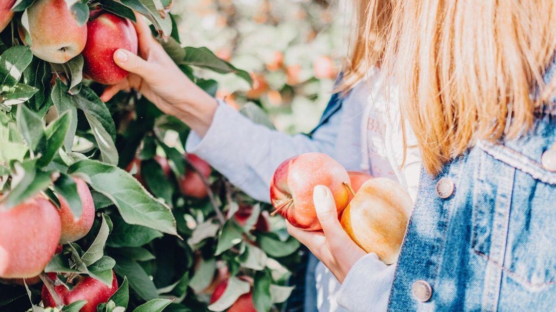 Sklepy grają na ostro z rolnikami.