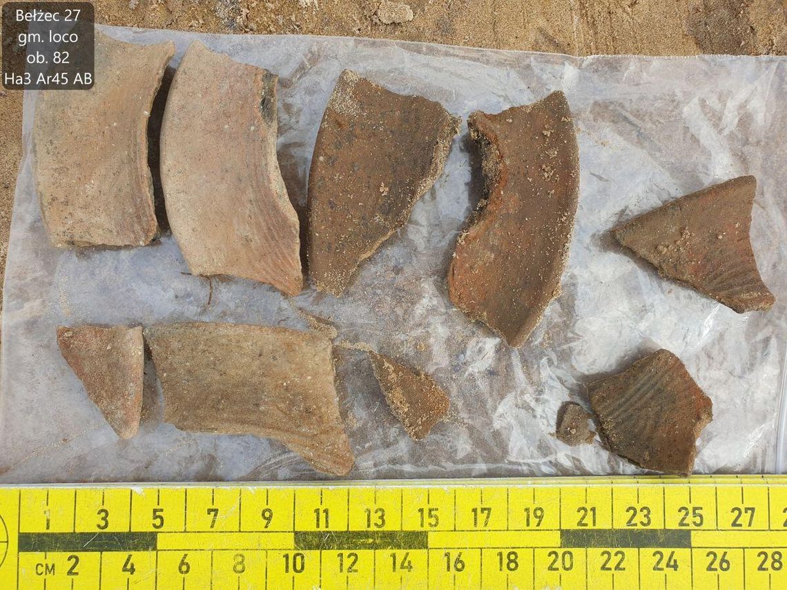 Ceramika kultury trzcinieckiej odnaleziona na trasie przyszłej drogi ekspresowej S17 w Bełżcu.