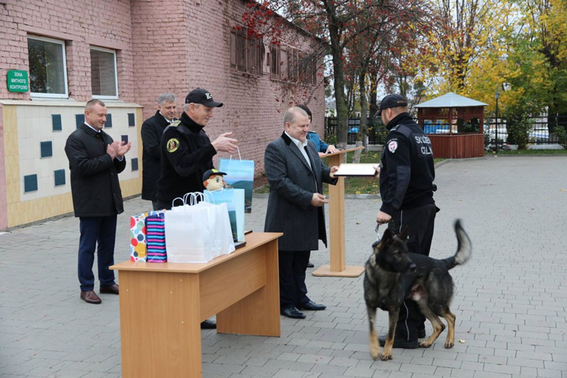 Służbowy pies zamojskich celników szkolił się na Ukrainie. I ma certyfikat