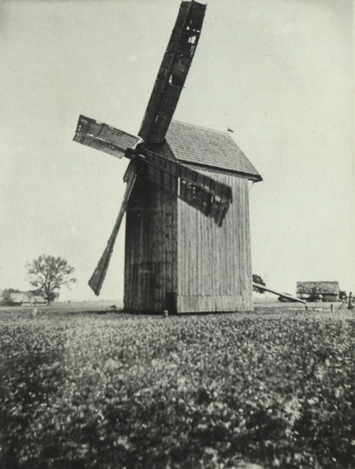 Wypadki w młynach nie należały do rzadkości. Kamienie młyńskie – najczęściej piaskowcowe – przy dużej prędkości obrotu pękały i rozrywały się z ogromną siłą. /Na zdjęciu wiatrak na terenie pow. bialskiego, fot. z ok. 1930 r.