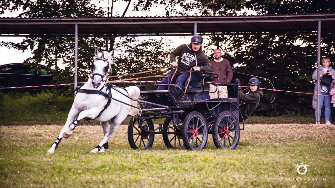 Patronat medialny nad V Świętem Konia w Sitnie sprawować będzie „Kronika Tygodnia”.