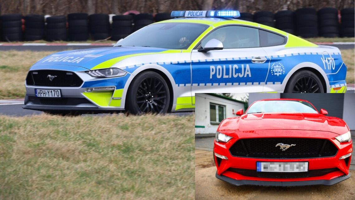 Ford Mustang GT od wczoraj oficjalnie służy w policji. To pierwszy radiowóz w Polsce, który wcześniej został skonfiskowany pijanemu kierowcy.