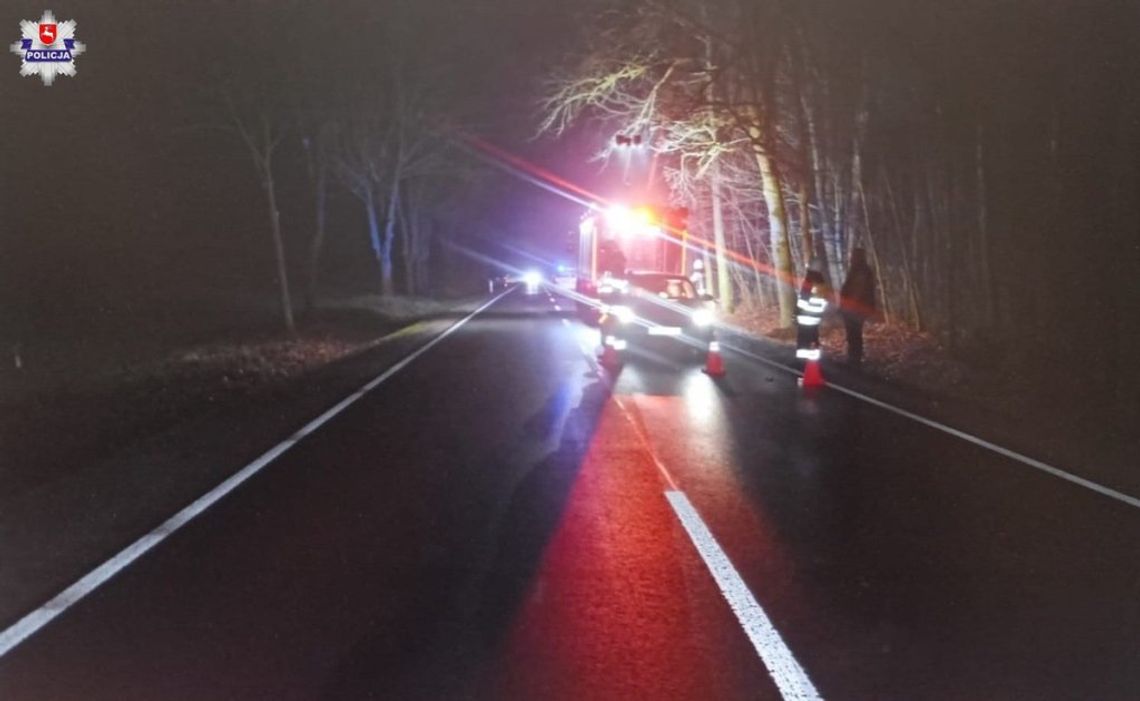 Do śmiertelnego wypadku drogowego doszło wczoraj w miejscowości Kostry w powiecie parczewskim.