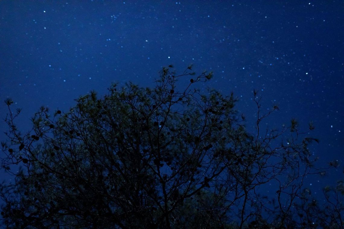 W ostatnich dniach nad Polską można było oglądać kilka podobnych przelotów.