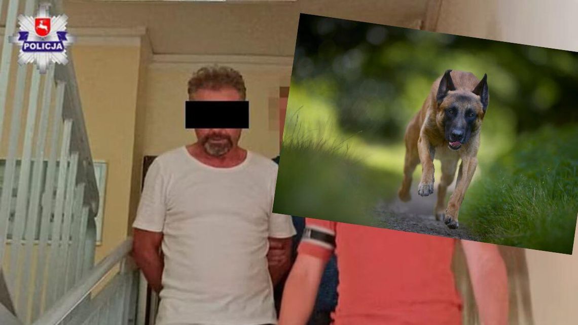 Sądowy finał strasznego zdarzenia. Dwa psy uciekły z posesji i zagryzły mężczyznę. Sąd Najwyższy właśnie odrzucił kasację właściciela zwierząt, który został skazany na więzienie.