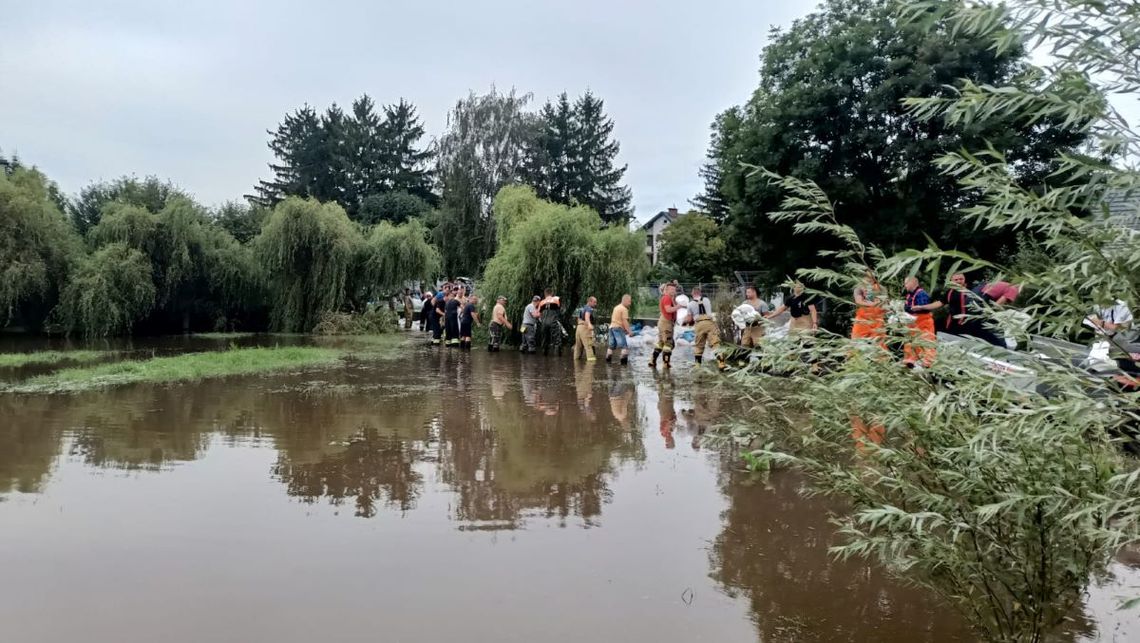 Obecnie strażacy (17 zastępów OSP oraz 3 PSP) skupiają się na układaniu worków z piaskiem na dawnym korycie rzeki Topornica celem ochrony obiektów zamojskiego ZOO oraz budynków mieszkalnych usytuowanych przy ul. Millera w Zamościu.