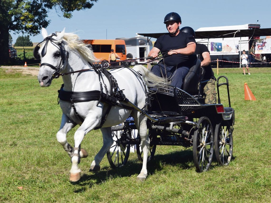 Święto Konia w Sitnie. Były skoki przez przeszkody, zawody zaprzęgowe i inne atrakcje Były skoki przez przeszkody, zawody zaprzęgowe i kawaleryjskie oraz wiele innych atrakcji. W dniach 20-21 września w Sitnie odbyło się V Święto Konia.