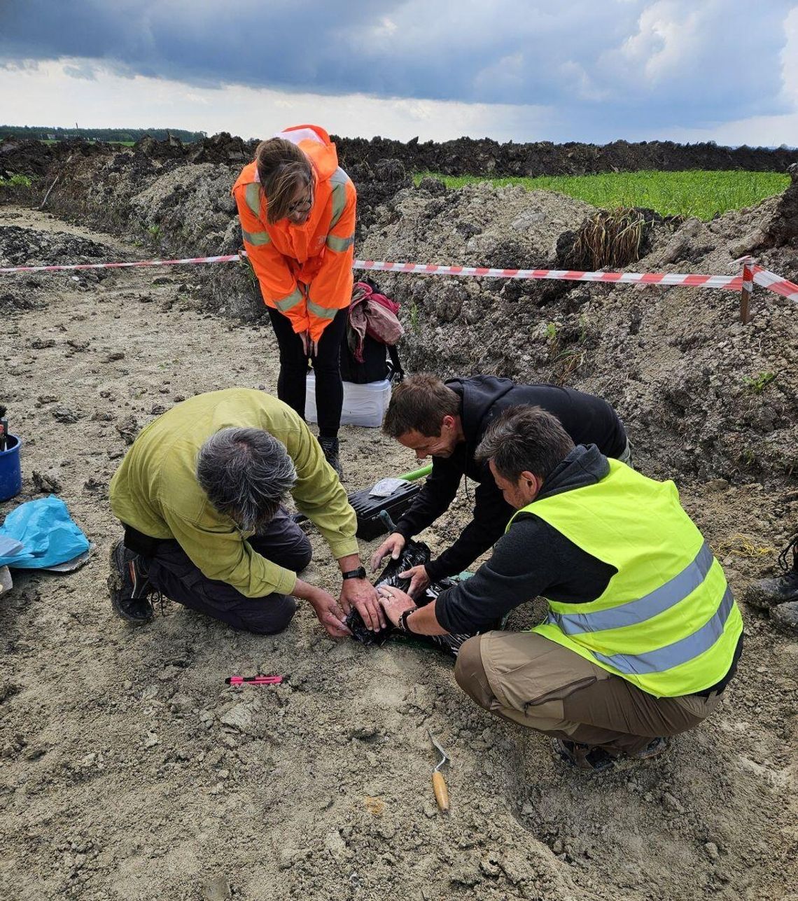 S17 Zamość Południe - Tomaszów Lubelski, podjęcie szczątków mamuta przez archeologów.
