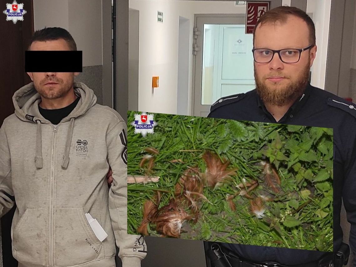 Za kradzież jajek i kur sąsiada mieszkaniec gminy Szczebrzeszyn może na 10 lat pójść do więzienia.