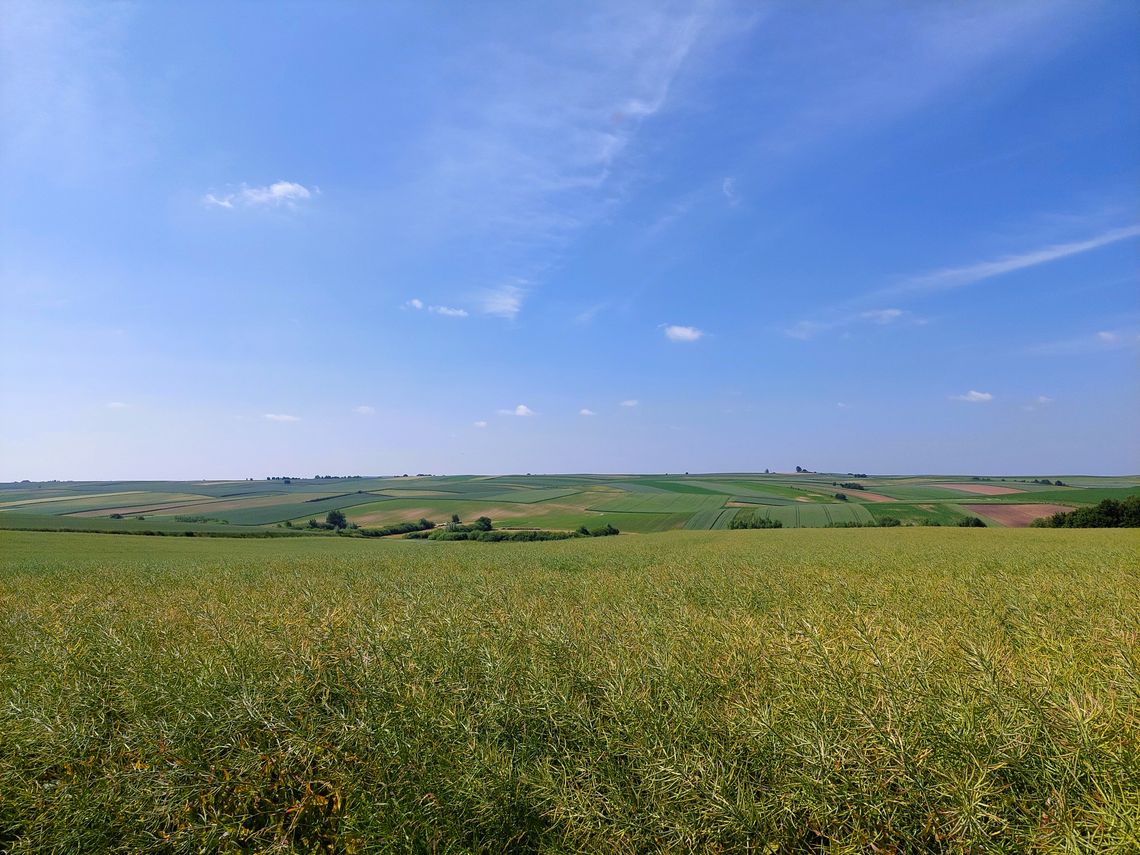 Szkolenie pod hasłem „Normy i wymogi warunkowości” rozpocznie się 29 kwietnia o godz. 9 w Gminny Ośrodek Kultury w Rachaniach.
