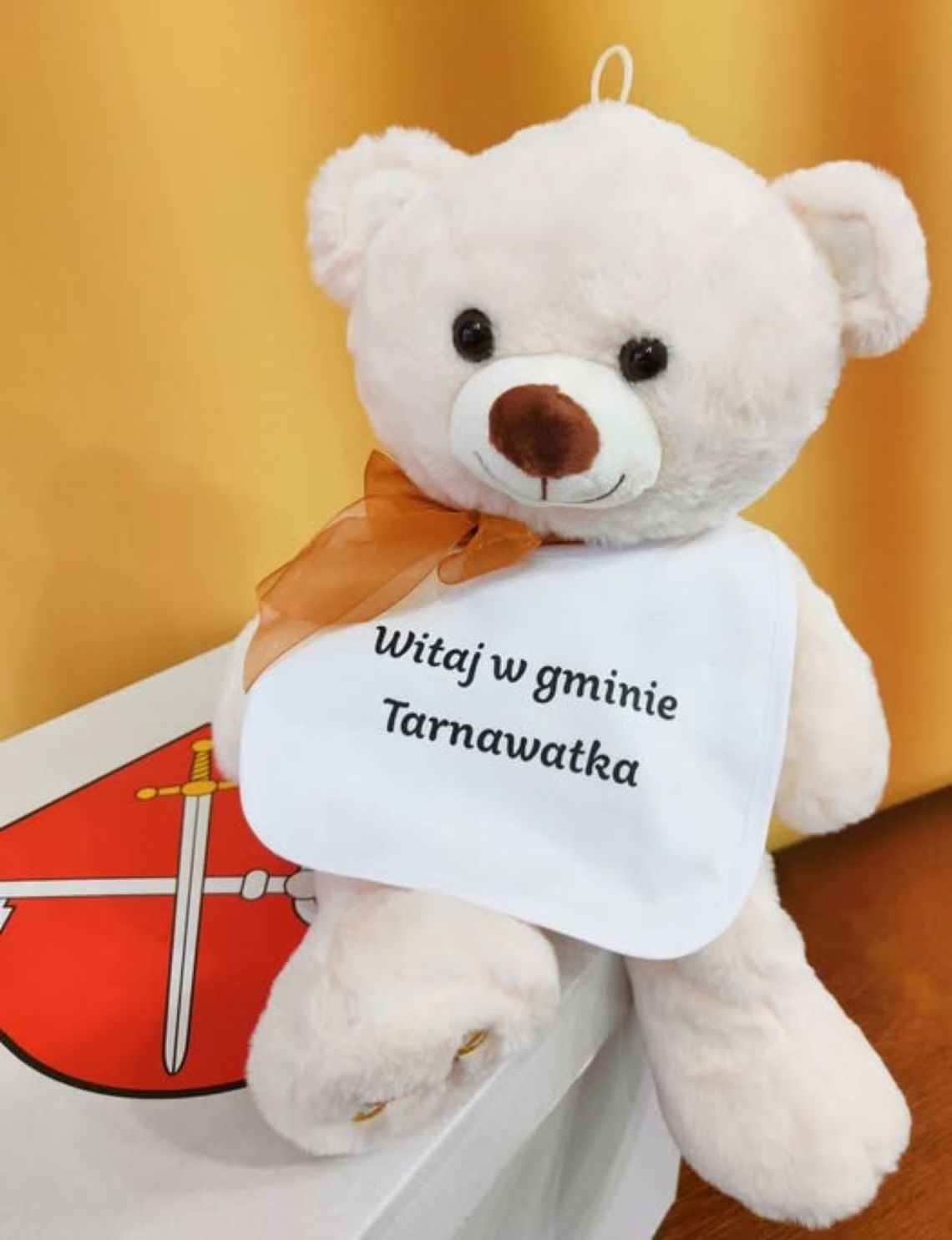 Tarnawacka paczka dla niemowlaczka. Co dostaną maluszki? Miś z „Tarnawackiej paczki dla niemowlaczka”.