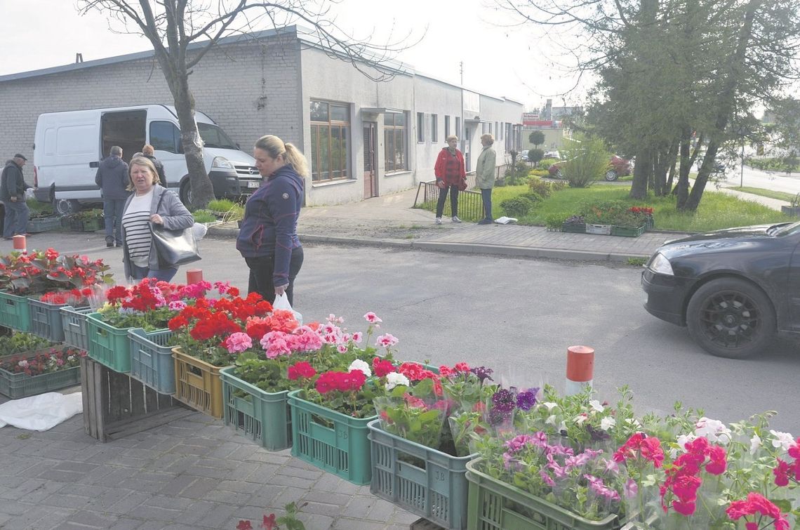 Wiosenny Kiermasz Kwiatów i Krzewów w Telatynie to wyjątkowo ciekawa i oryginalna inicjatywa.