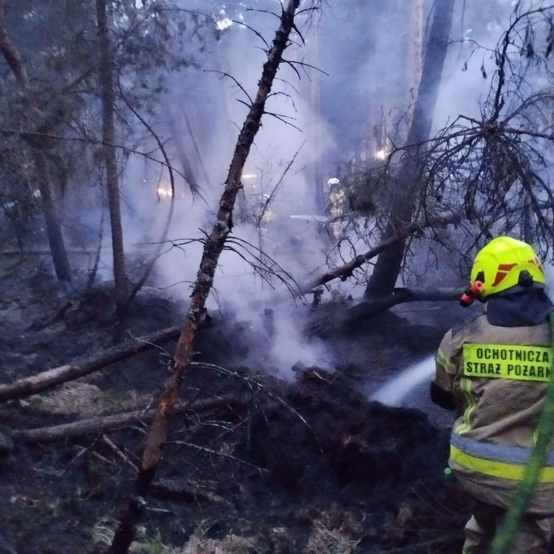 Walka z żywiołem była wyjątkowo trudna. Ogień błyskawicznie rozprzestrzeniał się po suchym poszyciu leśnym, wdzierając się w głąb torfowisk.
