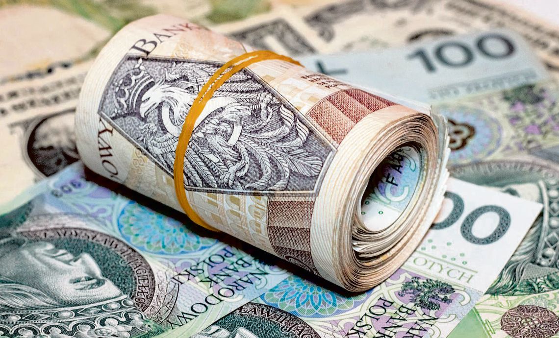 Tym razem Agnieszka H. podejrzana jest o wyłudzenie prawie 180 tys. zł i próbę wyłudzenia kolejnych 54 tys. zł. Fot. pixabay