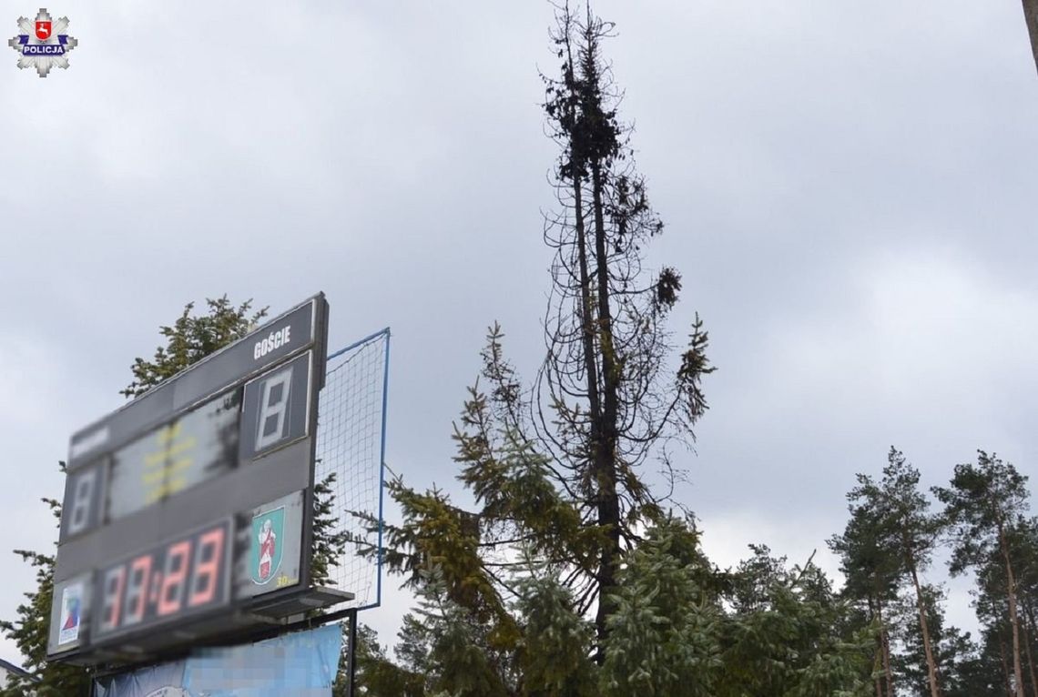 Na pierwszy dzień wiosny chłopcy z powiatu tomaszowskiego podpalili drzewko.