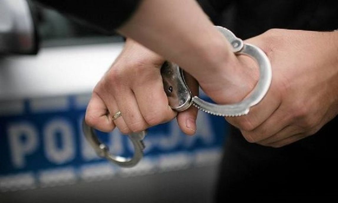 Tomaszów Lubelski: Narkotyki i dopalacze znalazłem na ulicy - zapewniał policjantów 24-latek
