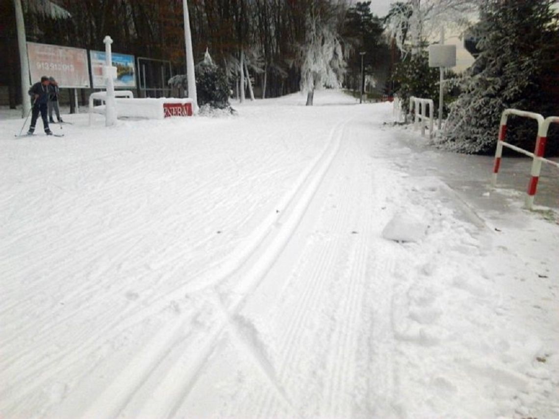 Tomaszów Lubelski: Śnieg spadł. Można biegać na nartach
