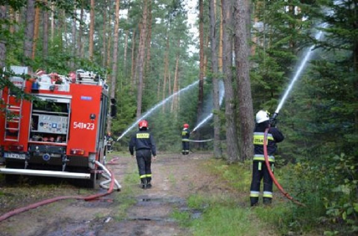 Tomaszowskie: Strażacy gasili pożar lasu. To były ćwiczenia (ZDJĘCIA)