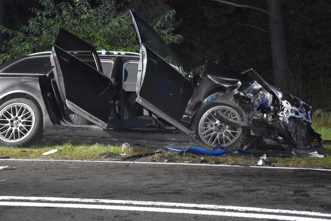 Tragiczny wypadek na trasie Biłgoraj-Hedwiżyn [ZDJĘCIA]