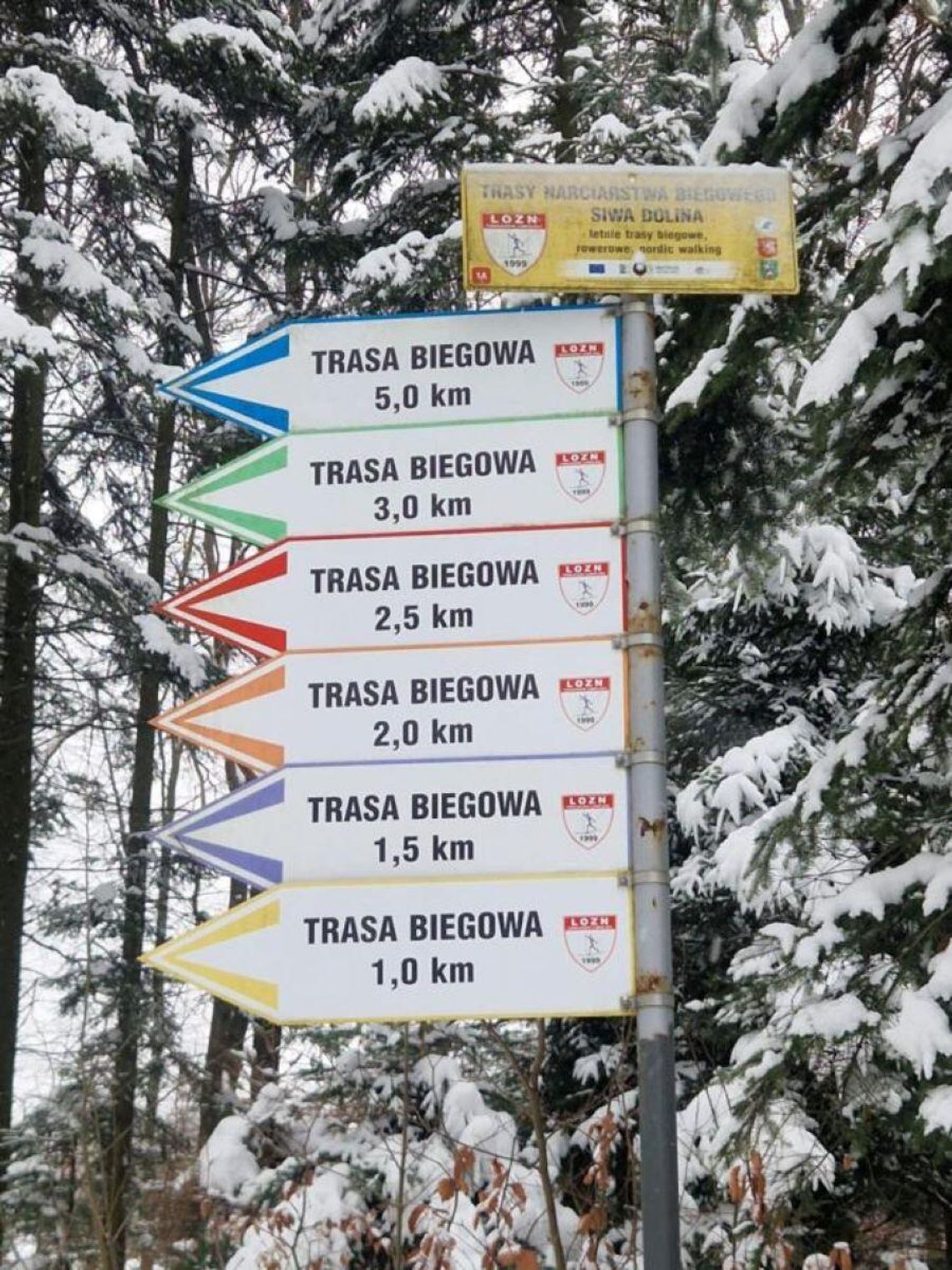 Trasy narciarskie Siwej Doliny są profesjonalnie przygotowane.