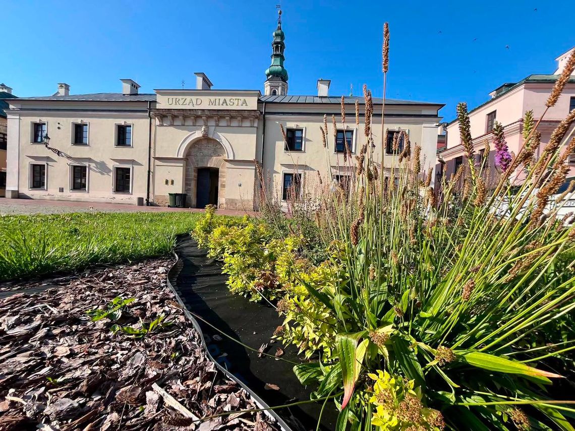 Inwestycja obejmuje nasadzenia drzew, krzewów i budowę małej architektury na Rynku Nowego Miasta, nad Łabuńką od strony ul. Weteranów oraz zazielenienie przystanku przy al. Jana Pawła II.