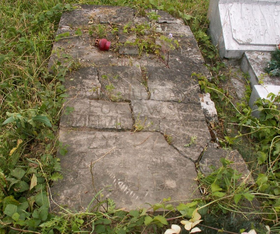 Płyta nagrobna Józefa Głogowskiego ma zostać odnowiona ze środków tegorocznej kwesty mieszkańców gminy Tyszowce.