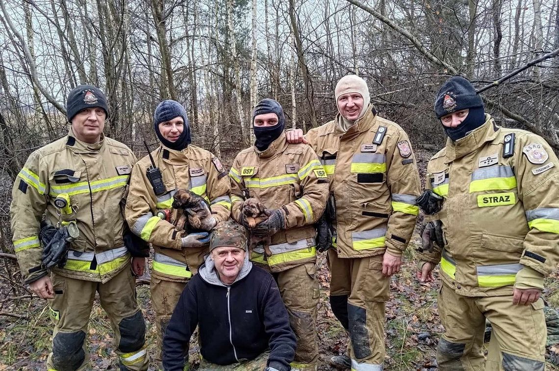 Strażacy z OSP Tyszowce w Święto Trzech Króli uratowali dwa psiaki.