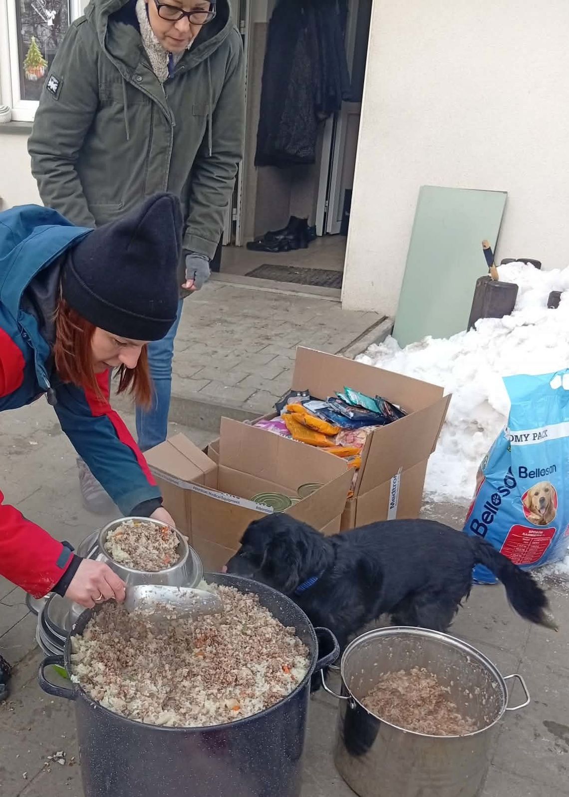 Uczestnicy Krok za krokiem w Zamościu w akcji „Ciepła miska dla psiska” Pieski ze schroniska w Zamościu dostaną ciepły posiłek.