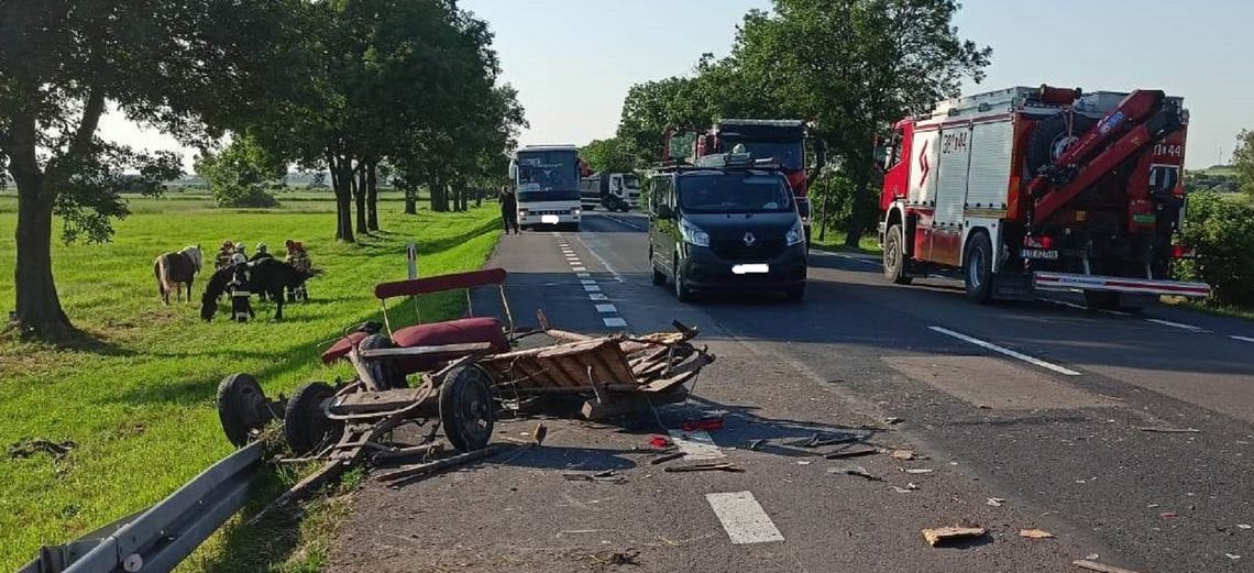 Woźnica i jego pasażerka zostali przetransportowani do szpitala. Konie wymagały opieki weterynaryjnej.