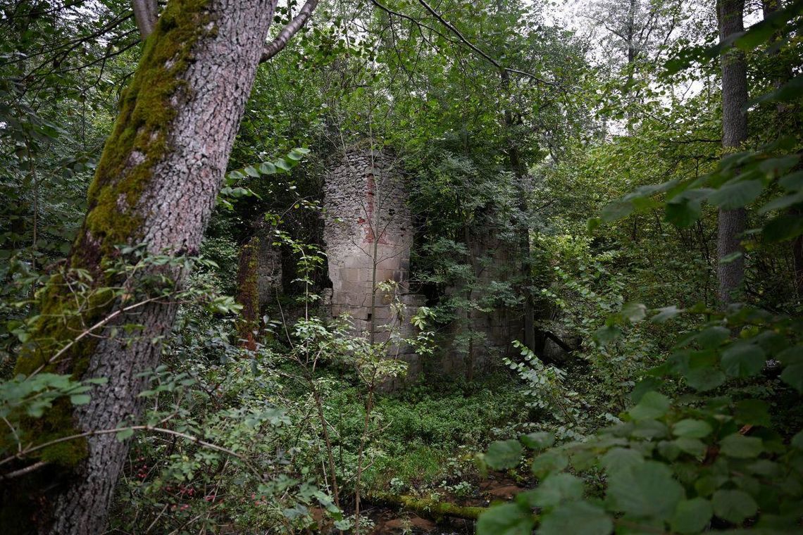 Od 13 października na Czartowym Polu prowadzone są prace porządkowe w obrębie ruin dawnej papierni.