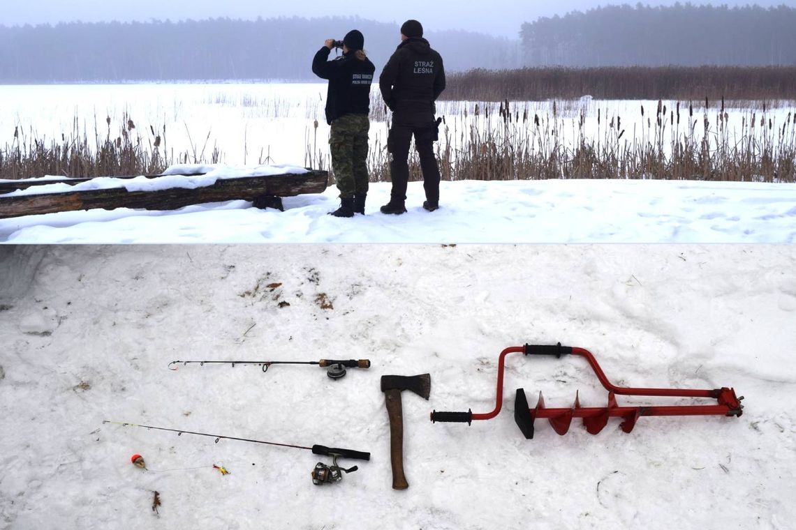 Wspólna akcja Straży Leśnej z Nadleśnictwa Sobibór oraz funkcjonariuszy Straży Granicznej ze Zbereża doprowadziła do ujęcia mężczyzny, który nielegalnie łowił ryby w jednym z jezior rezerwatu przyrody „Żółwiowe Błota”.