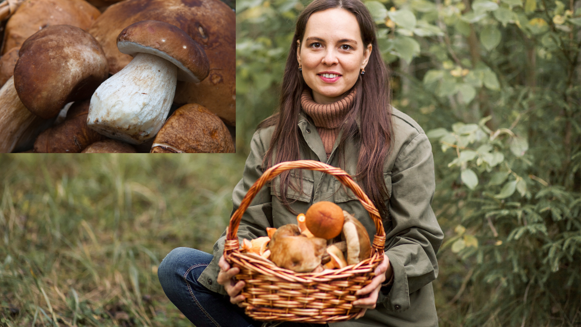 Mamy wrześniowy wysyp grzybów.