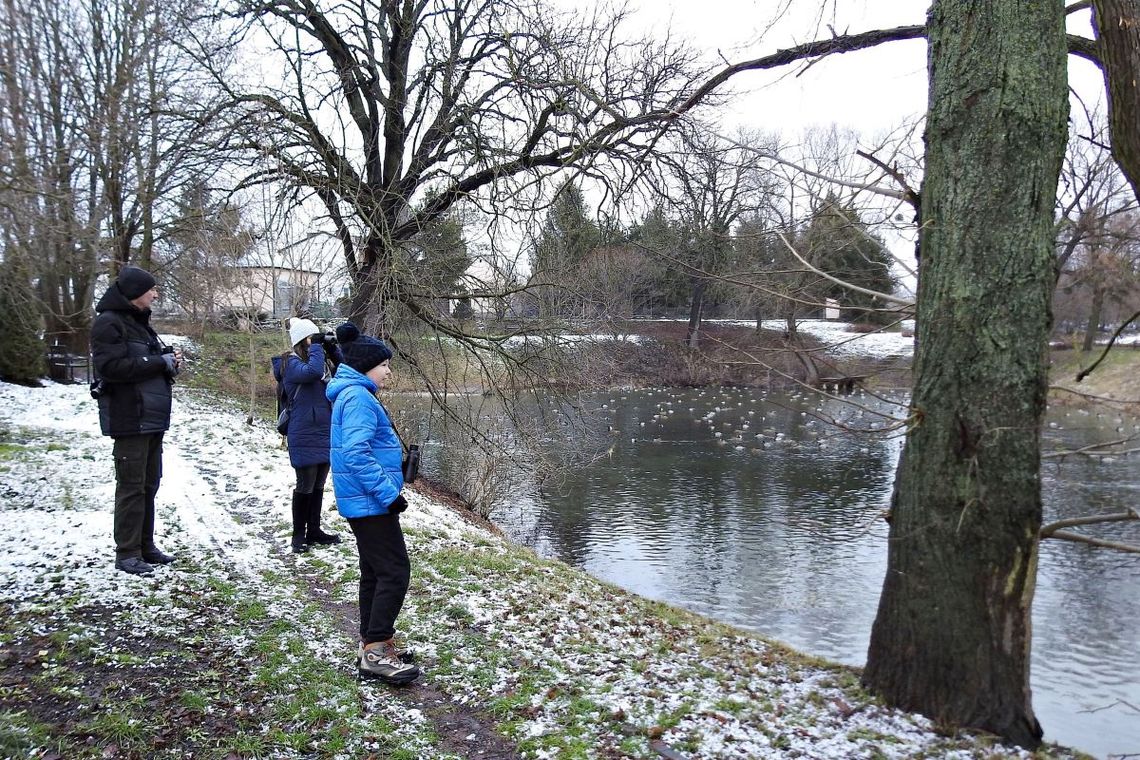 Wyniki „Zimowych Ptakoliczeń 2024” w Miączynie Zimowe Ptakoliczenie 2024 w Miączynie