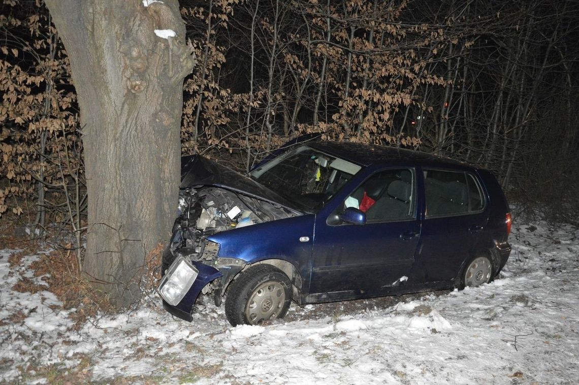 Lubelskie. 30-latek uderzył w drzewo. Ranna jedna z pasażerek