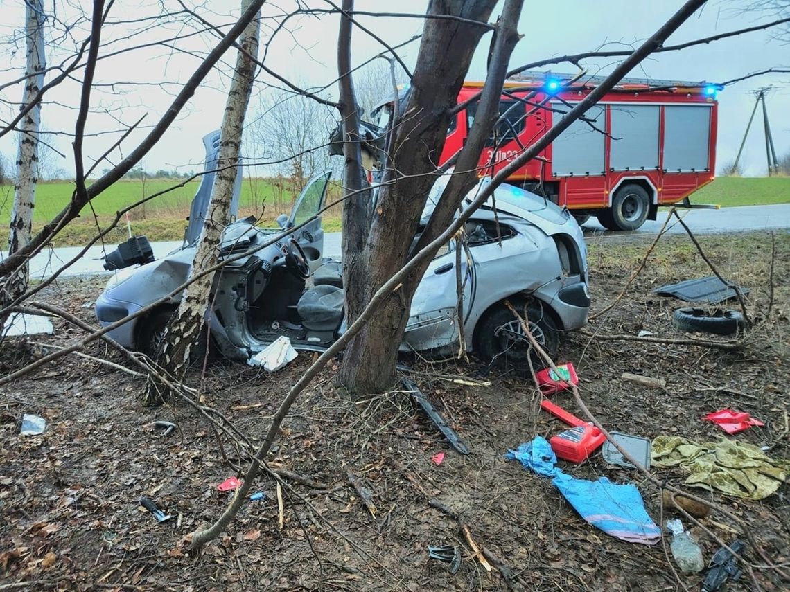 Lubelskie: 18-latek wjechał w drzewo. Jedna osoba nie żyje, druga ciężko ranna