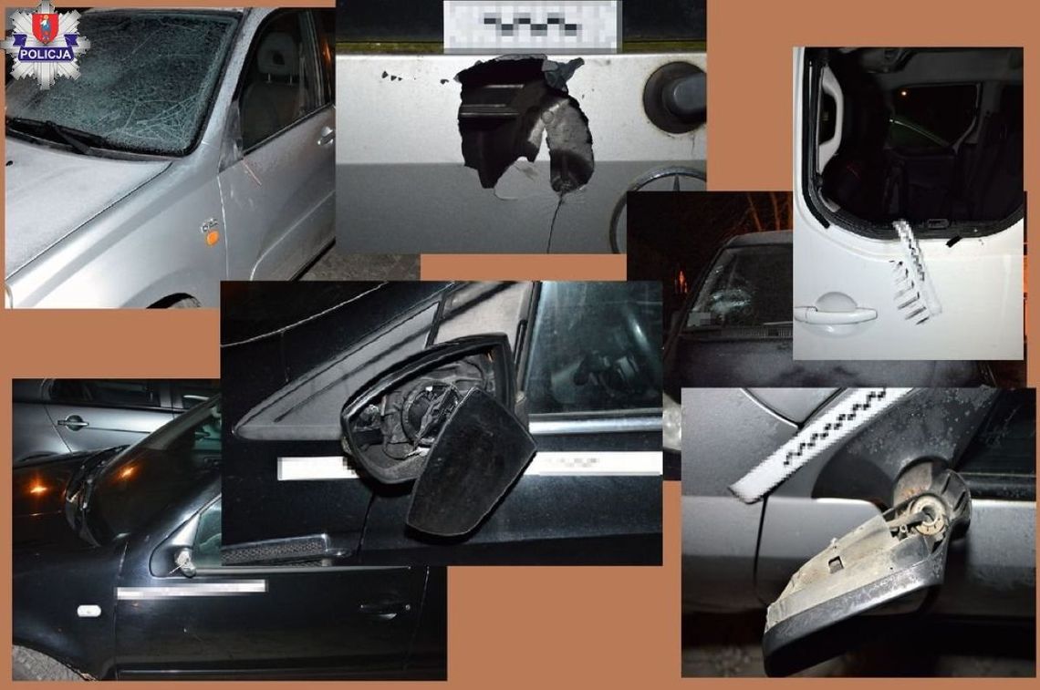 Zamojscy policjanci zatrzymali 19-latka podejrzanego o uszkodzenie samochodów.